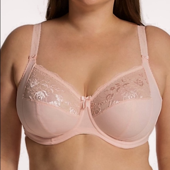 Elomi 34I Morgan EL4111 Underwire Banded Stretch Lace Bra - Ballet Pink - Picture 3 of 14